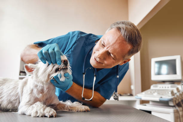 Best Emergency Treatment for Dental Infections or Abscesses in Robinhood, MS